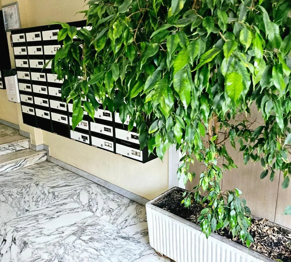 T1 Bord De Mer Nice Apartment
